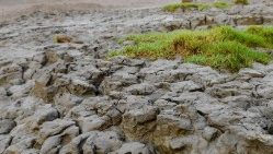 india-voting-election-environment-climate-1558246434169.jpg