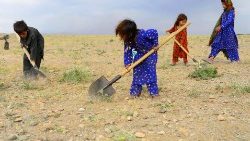 topshot-afghanistan-economy-labour-1558269839096.jpg