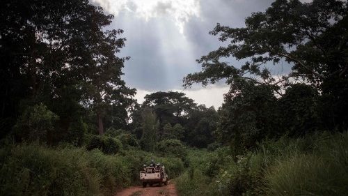 Zentralafrika: „Keine religiöse, sondern politische Krise“ 