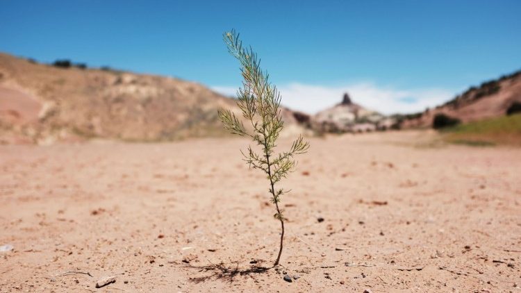 La sécheresse, phénomène récurrent dans l'État américain du Nouveau-Mexique, ici à Gallup, en juin 2019. 