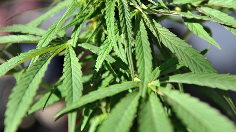 “Determinadas correntes de opinião propõem legalizar a produção e o comércio de certas drogas"