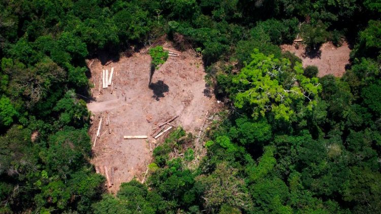 Обезлесяване на тропическа гора в бразилска Амазония