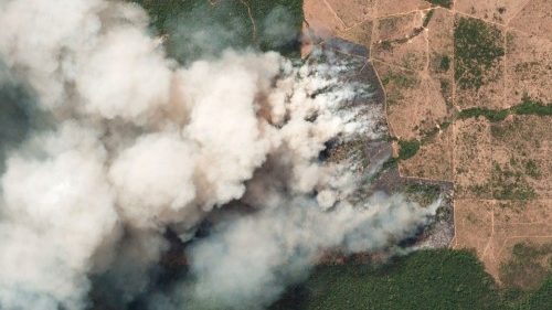 Emergência ambiental na Amazônia: região implora por uma ética ecológica de desenvolvimento