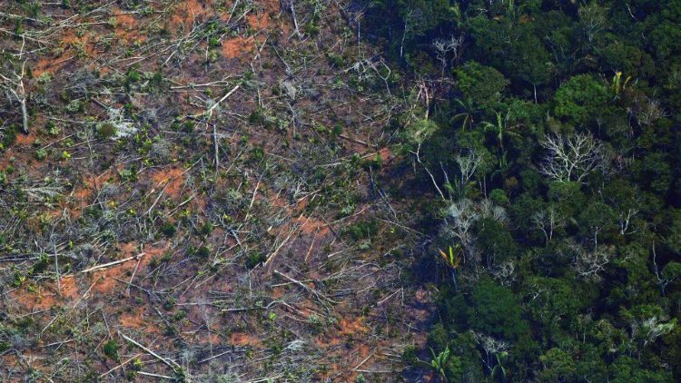 FILE PHOTO: Aerial photo of a deforested portion of Amazon rainforest due to fires