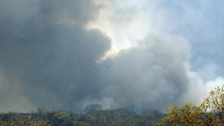 Brände im bolivischen Regenwald