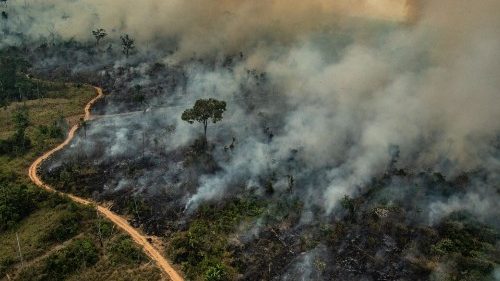 Papa faz apelo pela Amazônia: controlar os incêndios o quanto antes 