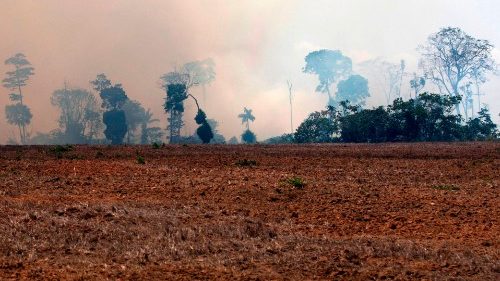 Papst ruft zum Gebet wegen Bränden am Amazonas auf