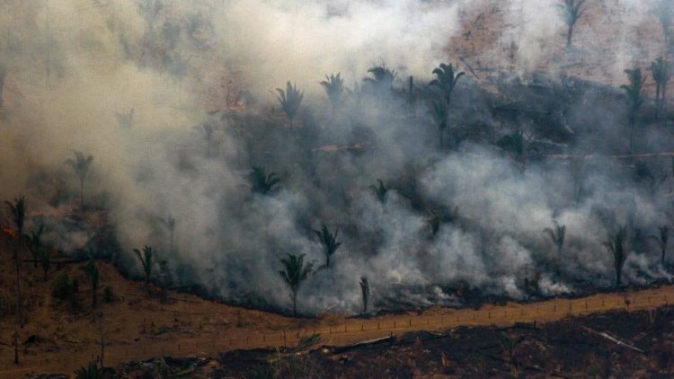 Die Brände im Regenwald sind vollständig außer Kontrolle geraten