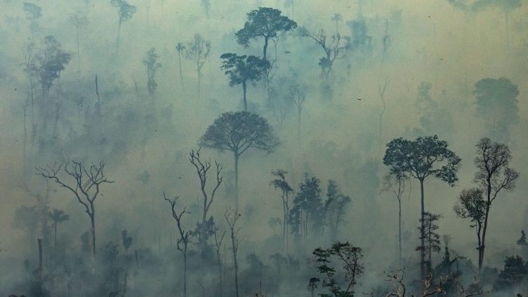 Skogen brinner i Amazonas