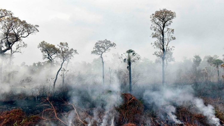 Predsjednik Vijeća biskupskih konferencija zemalja Latinske Amerike osvrnuo se na požare u Amazoniji