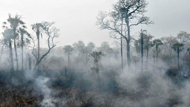 Feuer in Boliviens Regenwald