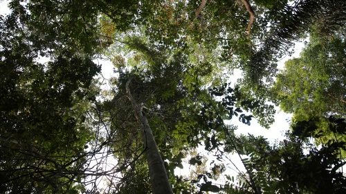 Carta do Encontro de Estudo do Instrumento de Trabalho do Sínodo da Amazônia