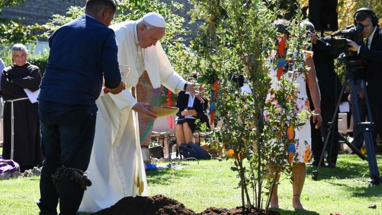 संत पापा वाटिकन की वाटिका मेें पेड़ को पानी देते हुए