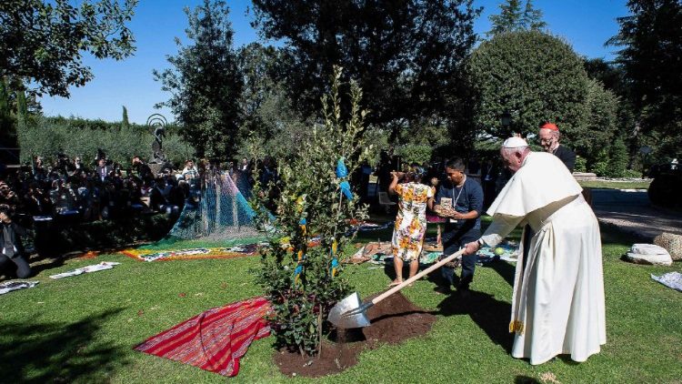 教皇フランシスコ、バチカン庭園に植樹　2019年10月4日 