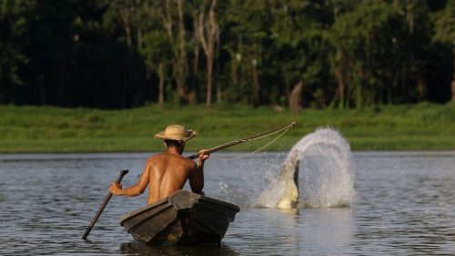 Amazonas-Politiker fordern Entschädigungsfonds reicher Länder