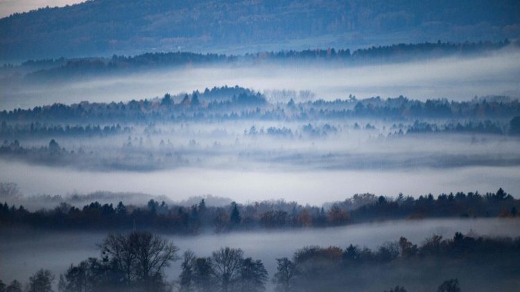 Bewahrung der Schöpfung ist für Stefan Vesper ein Teil des Lebensschutzes (Foto: Nebel bei Ravensburg)