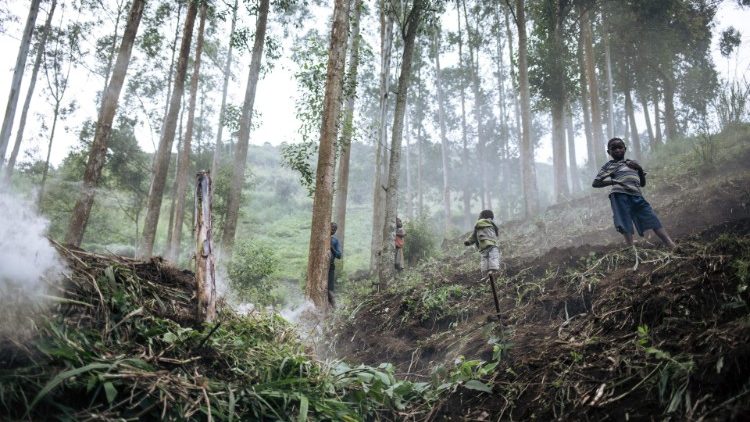 Die Wälder des Kongo lichten sich immer mehr... mit fatalen Folgen für Umwelt und Mensch