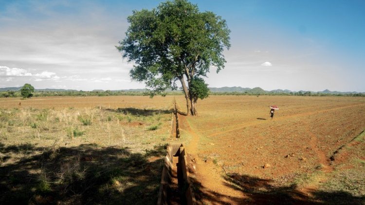 Un canal asséché au Zimbabwe, en décembre 2019.