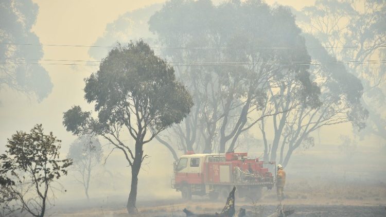 オーストラリアの森林火災　キャンベラ南部近郊　2020年2月1日