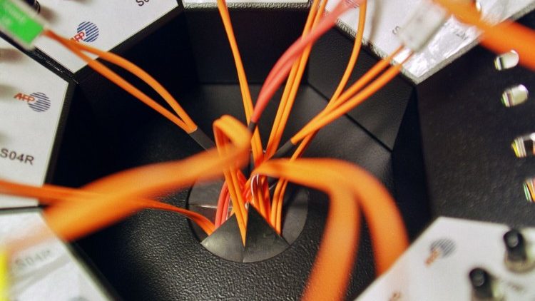 A bundle of fiber optic cable coming from a single source