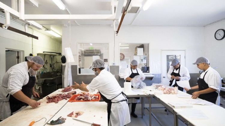 In Deutschland ist jüngst die Fleischindustrie in den Fokus der Öffentlichkeit geraten
