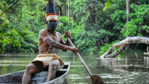 Amazonie : écocide, ethnocide et terricide sont pires que le virus
