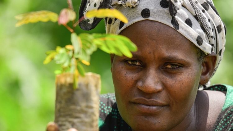 אישה נושאת זרעים לנטיעה במחוז בואה שבדרום אתיופיה  