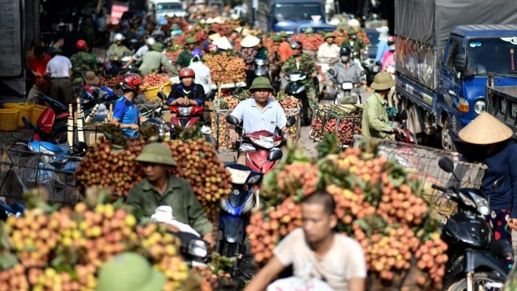 Além da assistência a famílias, salesianos formam jovens vietnamitas para o mercado de trabalho
