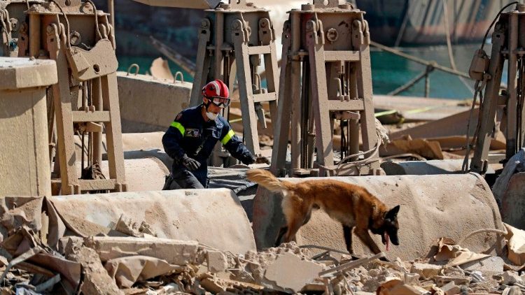 Potraga za preživjelima u ruševinama Bejruta; 7. kolovoza 2020.