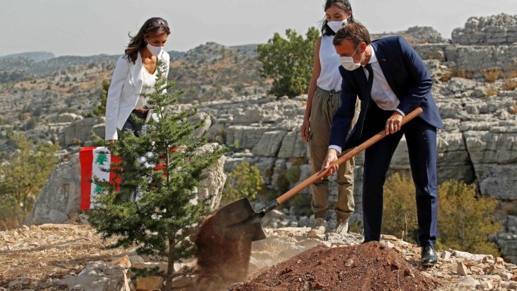 President Emmanuel Macron plants a cedar tree at a ceremony near Beirut