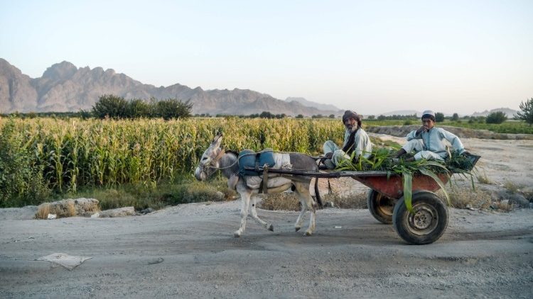 Un homme et un enfant sur une route de la province de Kandahar, le 27 septembre 2020