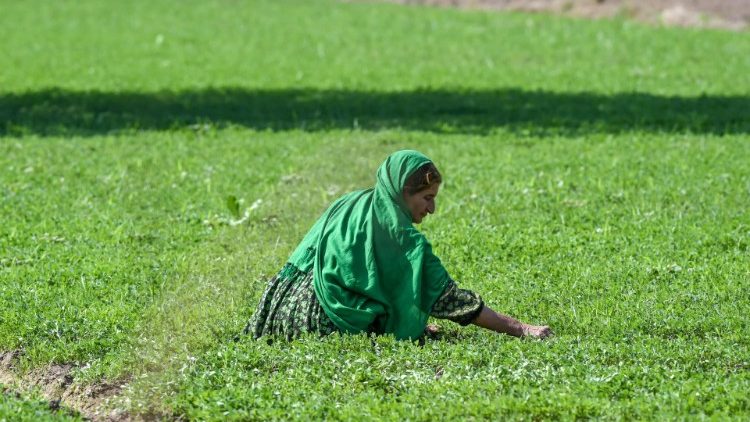 Una donna a lavoro nei campi
