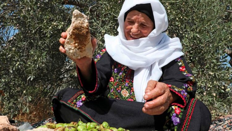 Femeie palestiniană la culesul măslinelor