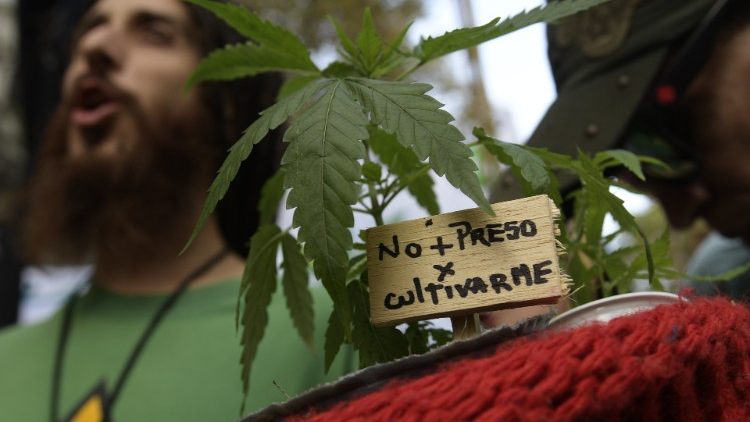 Аржентина узаконява самостоятелното отглеждане на канабис (марихуана)