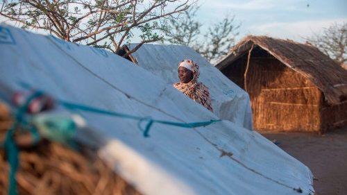 Mozambique: l’évêque de Pemba alerte sur l’aggravation de la crise humanitaire