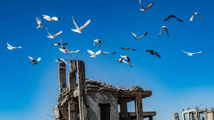 Uno stormo di uccelli sorvola le rovine della città di Raqqa