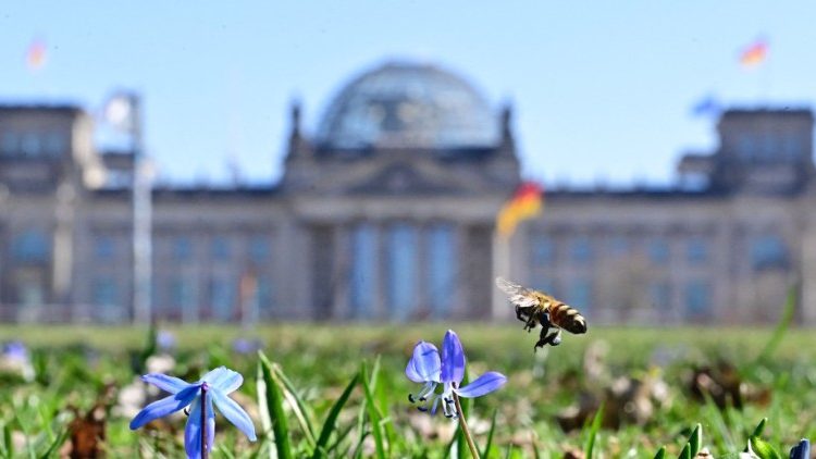 Berlin: Das Reichstagsgebäude mit Blumen und Biene