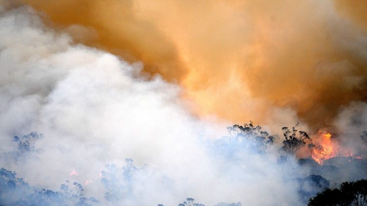 Bush fires in Australia