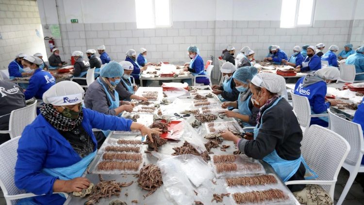 In einer Fischfabrik in Albanien