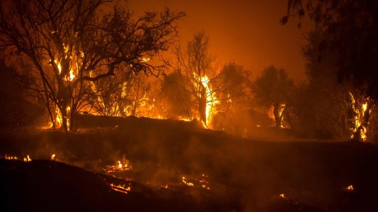 Fires rage in Cyprus