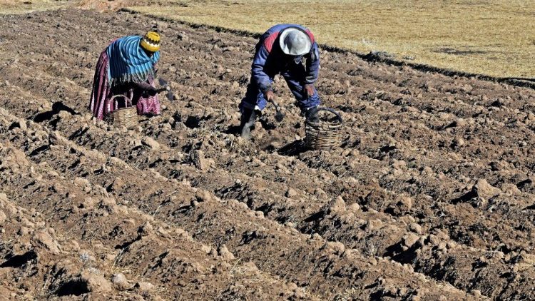 Kleinbauern in Bolivien bei der Arbeit