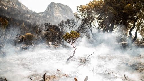 Griechenland: Klöster nehmen Opfer der Waldbrände auf