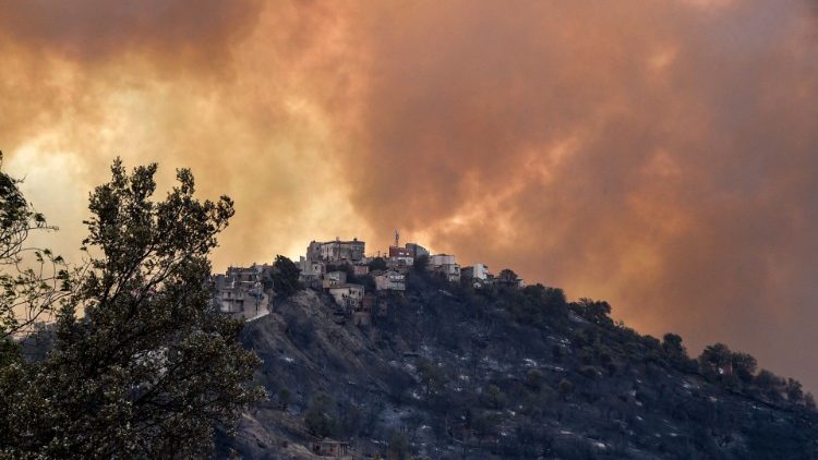 Le fiamme nelle foreste di Kabylie, regione dell'Algeria (Ryad Kramdi)