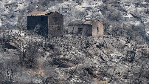 Incêndios florestais na Argélia deixam ao menos 69 mortos