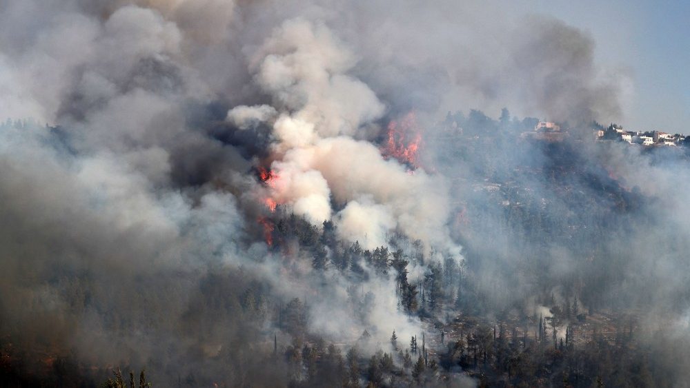 A fuma?a sobe de um incndio florestal nas montanhas de Jerusalm perto da aldeia israelense de Moshav Shoresh, em 16 de agosto de 2021. (Foto de Ahmad GHARABLI / AFP)