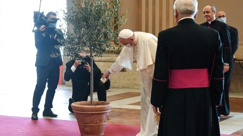 Popiežiaus žinia maldos už kūriniją dienos proga