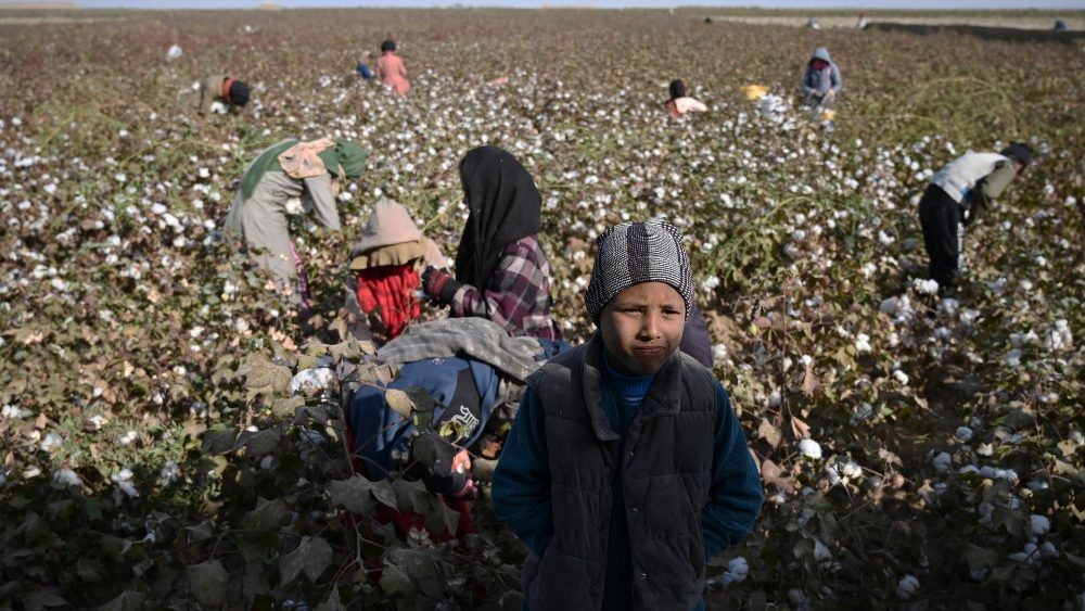 TOPSHOT-AFGHANISTAN-AGRICULTURE-CHILDREN-LABOUR