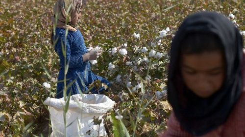 Papst kritisiert Kinderarbeit in der Landwirtschaft