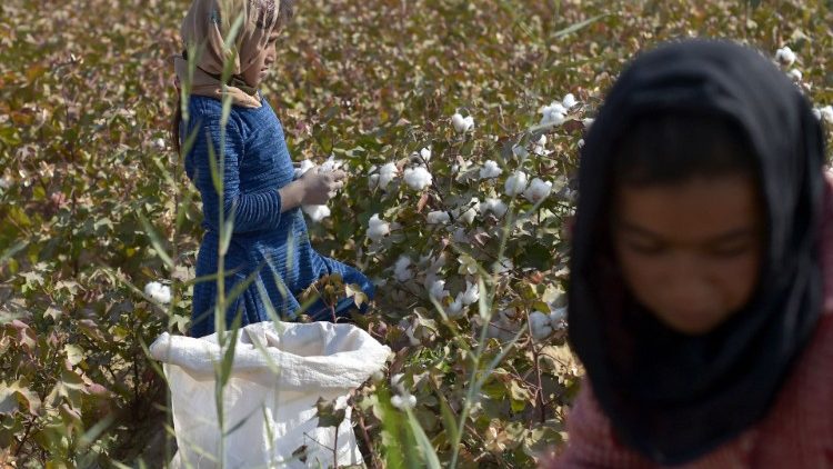 Mädchen als Feldarbeiterinnen in Afghanistan