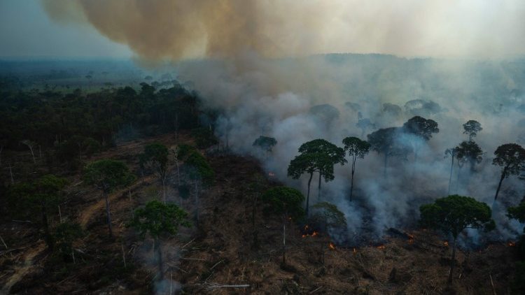Incendios devastan kilómetros de selva tropical en Brasil
